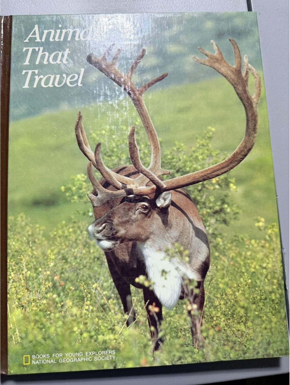 National Geographic Animals That Travel Jennifer C Urquhart Hardcover 1982